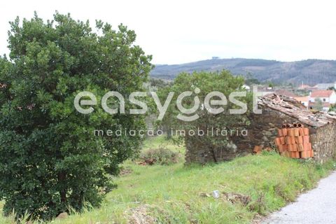 Helårsgrund i Macao, Santarem, Macao - € 65.000 | Ref: TM91820 - foto 8
