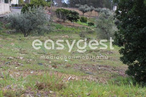 Helårsgrund i Macao, Santarem, Macao - € 65.000 | Ref: TM91820 - foto 9