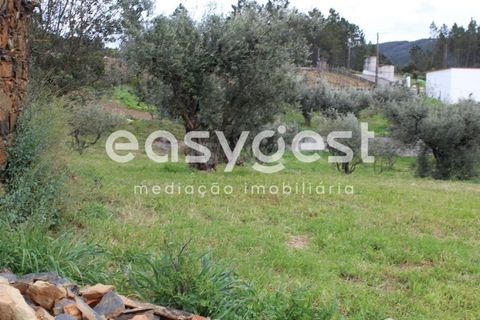 Helårsgrund i Macao, Santarem, Macao - € 65.000 | Ref: TM91820 - foto 10