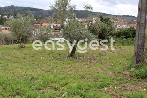 Helårsgrund i Macao, Santarem, Macao - € 65.000 | Ref: TM91820 - foto 12