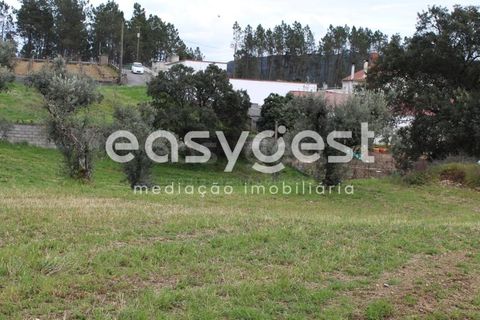 Helårsgrund i Macao, Santarem, Macao - € 65.000 | Ref: TM91820 - foto 14