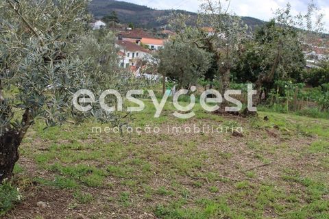 Helårsgrund i Macao, Santarem, Macao - € 65.000 | Ref: TM91820 - foto 15
