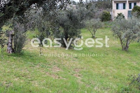Helårsgrund i Macao, Santarem, Macao - € 65.000 | Ref: TM91820 - foto 16