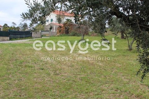Helårsgrund i Macao, Santarem, Macao - € 65.000 | Ref: TM91820 - foto 17