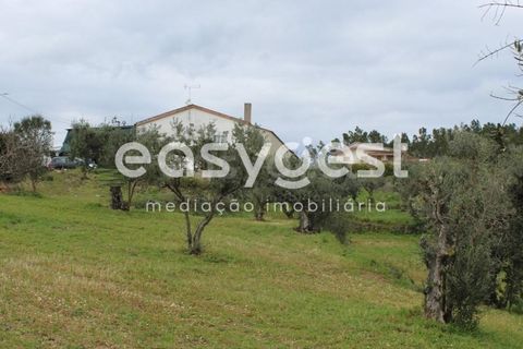 Helårsgrund i Macao, Santarem, Macao - € 65.000 | Ref: TM91820 - foto 18