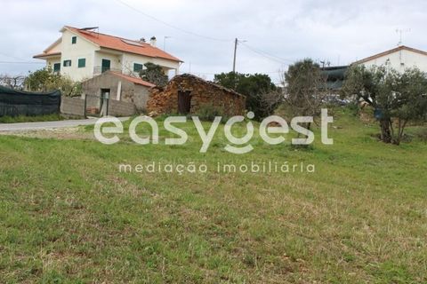 Helårsgrund i Macao, Santarem, Macao - € 65.000 | Ref: TM91820 - foto 19