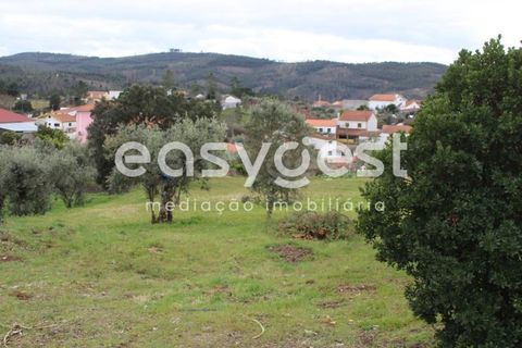 Helårsgrund i Macao, Santarem, Macao - € 65.000 | Ref: TM91820 - foto 23