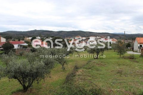 Helårsgrund i Macao, Santarem, Macao - € 65.000 | Ref: TM91820 - foto 24