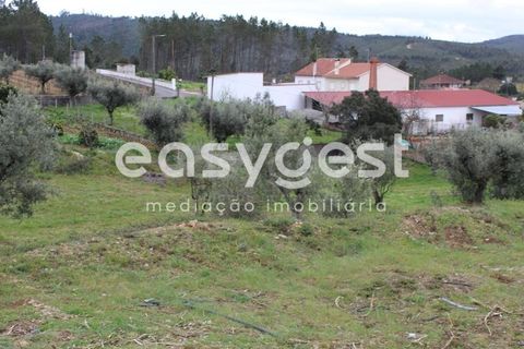 Helårsgrund i Macao, Santarem, Macao - € 65.000 | Ref: TM91820 - foto 25