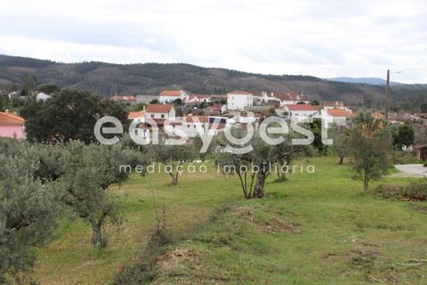 Helårsgrund i Macao, Santarem, Macao - € 65.000 | Ref: TM91820 - foto 26