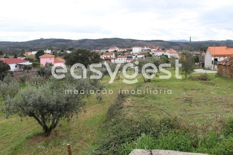 Helårsgrund i Macao, Santarem, Macao - € 65.000 | Ref: TM91820 - foto 27