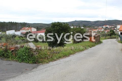 Helårsgrund i Macao, Santarem, Macao - € 65.000 | Ref: TM91820 - foto 28