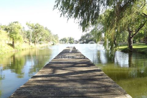 Helårsgrund i Olaia e Paco, Santarem, Olaia e Paco - € 42.500 | Ref: TM91857 - foto 2