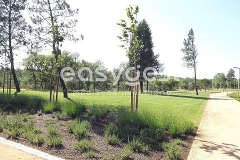 Helårsgrund i Olaia e Paco, Santarem, Olaia e Paco - € 42.500 | Ref: TM91857 - foto 3
