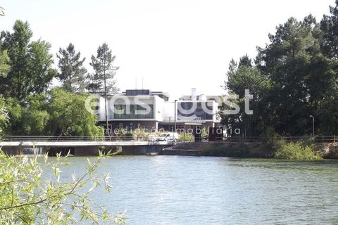 Helårsgrund i Olaia e Paco, Santarem, Olaia e Paco - € 42.500 | Ref: TM91857 - foto 5
