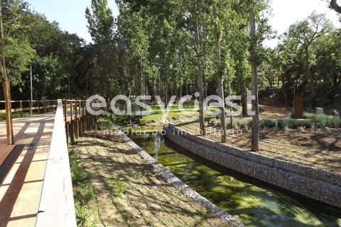 Helårsgrund i Olaia e Paco, Santarem, Olaia e Paco - € 42.500 | Ref: TM91857 - foto 7