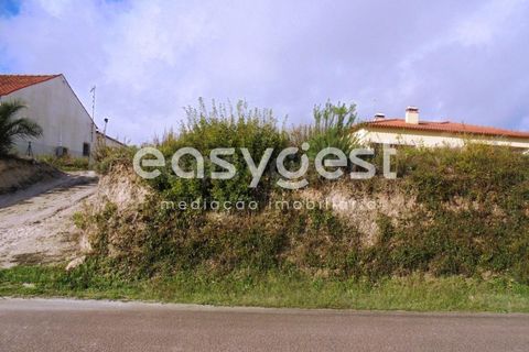 Helårsgrund i Olaia e Paco, Santarem, Olaia e Paco - € 42.500 | Ref: TM91857 - foto 11