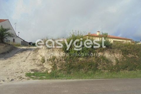 Helårsgrund i Olaia e Paco, Santarem, Olaia e Paco - € 42.500 | Ref: TM91857 - foto 12