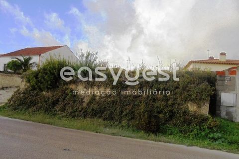 Helårsgrund i Olaia e Paco, Santarem, Olaia e Paco - € 42.500 | Ref: TM91857 - foto 13