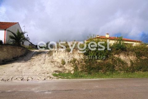 Helårsgrund i Olaia e Paco, Santarem, Olaia e Paco - € 42.500 | Ref: TM91857 - foto 14
