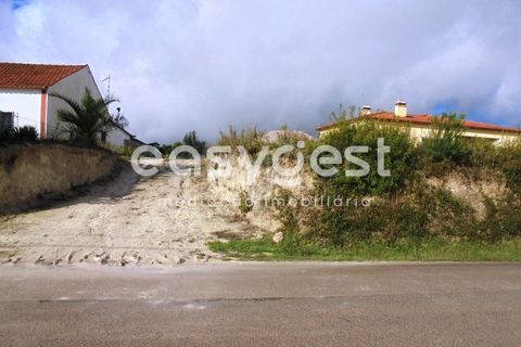 Helårsgrund i Olaia e Paco, Santarem, Olaia e Paco - € 42.500 | Ref: TM91857 - foto 15