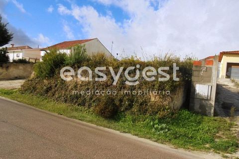 Helårsgrund i Olaia e Paco, Santarem, Olaia e Paco - € 42.500 | Ref: TM91857 - foto 16