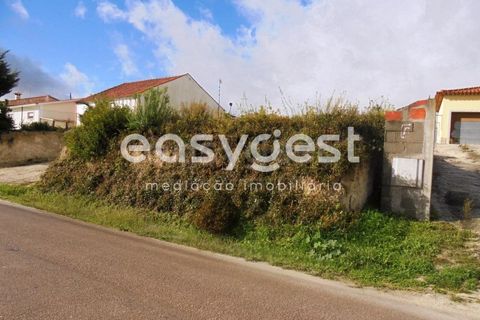 Helårsgrund i Olaia e Paco, Santarem, Olaia e Paco - € 42.500 | Ref: TM91857 - foto 17