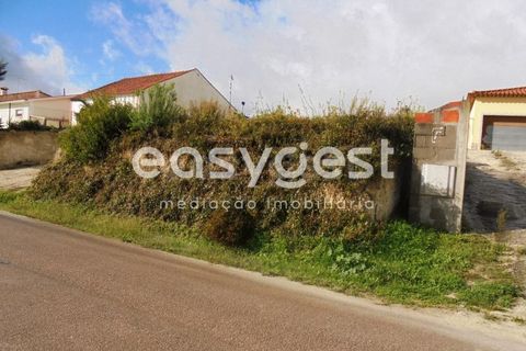 Helårsgrund i Olaia e Paco, Santarem, Olaia e Paco - € 42.500 | Ref: TM91857 - foto 18