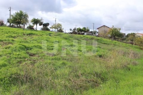 Tomt i Proenca-a-Nova, Castelo Branco, Proenca-a-Nova - € 29 600 | Ref: UNU.I.1783.12555 - foto 3