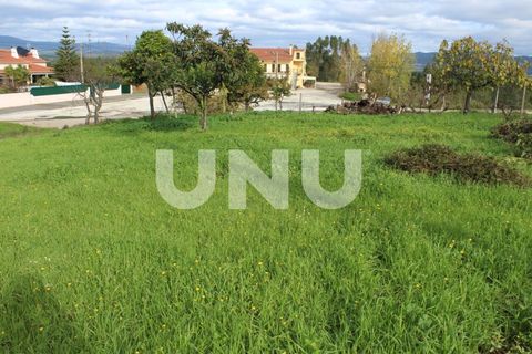 Tomt i Proenca-a-Nova, Castelo Branco, Proenca-a-Nova - € 29 600 | Ref: UNU.I.1783.12555 - foto 6