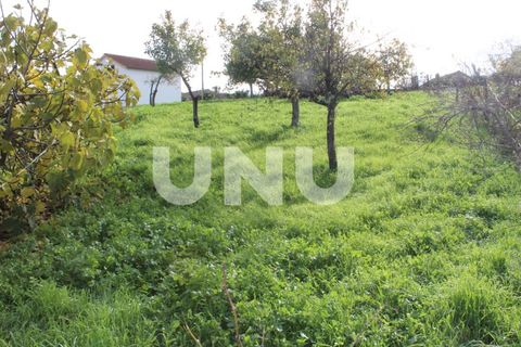 Tomt i Proenca-a-Nova, Castelo Branco, Proenca-a-Nova - € 29 600 | Ref: UNU.I.1783.12555 - foto 7