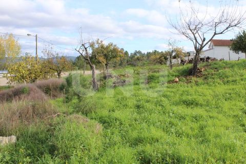 Tomt i Proenca-a-Nova, Castelo Branco, Proenca-a-Nova - € 29 600 | Ref: UNU.I.1783.12555 - foto 9
