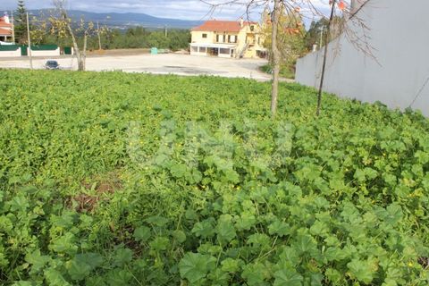 Tomt i Proenca-a-Nova, Castelo Branco, Proenca-a-Nova - € 29 600 | Ref: UNU.I.1783.12555 - foto 14