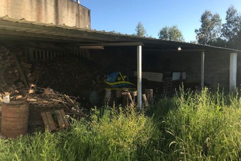 Villa a Soure, Coimbra, Soure - € 540.000 | Ref: ko2393 - foto 34