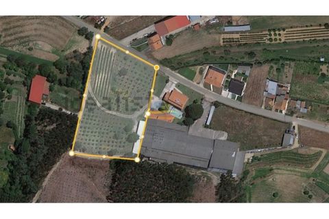 Villa a Soure, Coimbra, Soure - € 540.000 | Ref: ko2393 - foto 39