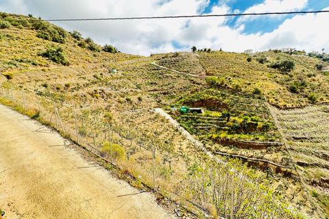 Landejendom i El Morche, Malaga, El Morche - € 450.000 | Ref: MLH481 - foto 15