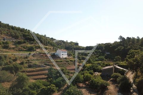 Farm i Monchique, Faro, Monchique - € 220.000 | Ref: MAS_46 - foto 1