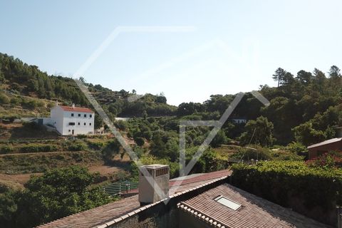 Farm i Monchique, Faro, Monchique - € 220.000 | Ref: MAS_46 - foto 2