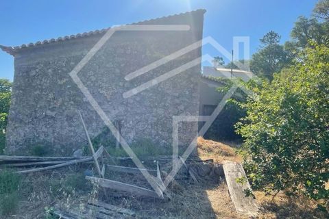 Farm i Monchique, Faro, Monchique - € 220.000 | Ref: MAS_46 - foto 4