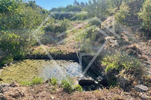 Farm i Monchique, Faro, Monchique - € 220.000 | Ref: MAS_46 - foto 5