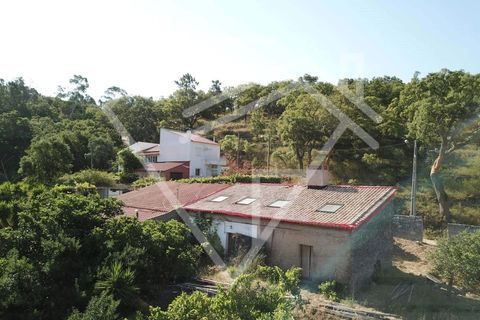 Farm i Monchique, Faro, Monchique - € 220.000 | Ref: MAS_46 - foto 8