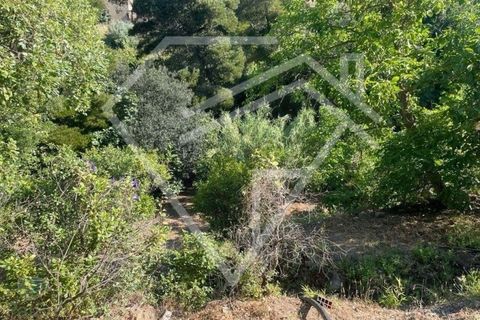 Farm i Monchique, Faro, Monchique - € 220.000 | Ref: MAS_46 - foto 9