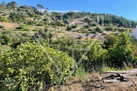 Farm i Monchique, Faro, Monchique - € 220.000 | Ref: MAS_46 - foto 10