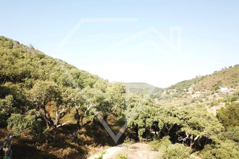 Farm i Monchique, Faro, Monchique - € 220.000 | Ref: MAS_46 - foto 12