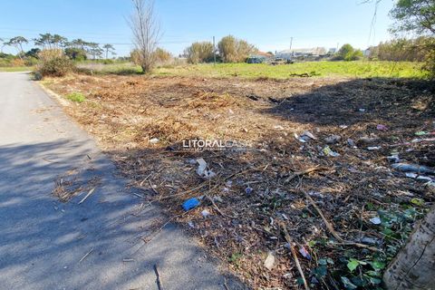 Helårsgrund i Murtosa, Aveiro, Murtosa - € 57.500 | Ref: VEN-3635 B - foto 3