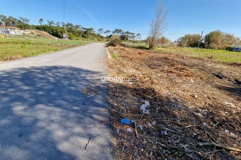Helårsgrund i Murtosa, Aveiro, Murtosa - € 57.500 | Ref: VEN-3635 B - foto 4