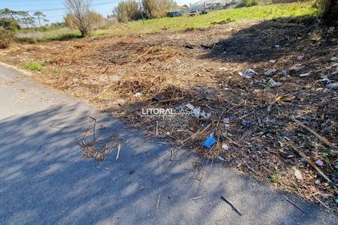Helårsgrund i Murtosa, Aveiro, Murtosa - € 57.500 | Ref: VEN-3635 B - foto 5