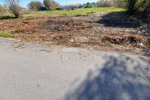 Helårsgrund i Murtosa, Aveiro, Murtosa - € 57.500 | Ref: VEN-3635 B - foto 6