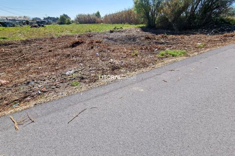 Helårsgrund i Murtosa, Aveiro, Murtosa - € 57.500 | Ref: VEN-3635 B - foto 7