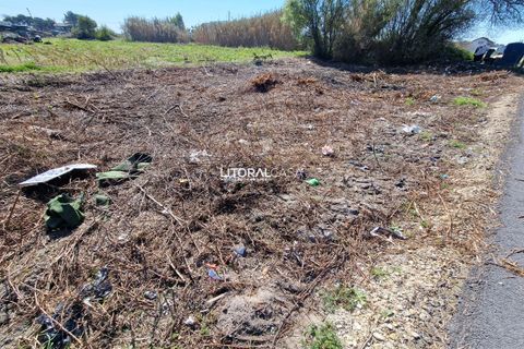 Helårsgrund i Murtosa, Aveiro, Murtosa - € 57.500 | Ref: VEN-3635 B - foto 8
